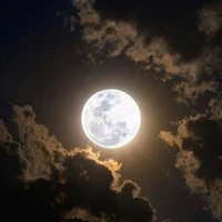 nhân vật quần chúng