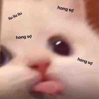 Tác giả nè mấy nó