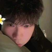 Nguyễn Hữu Đạt_Phoenix🦙 (A)