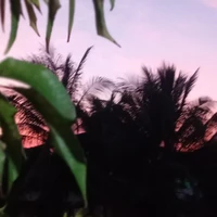 all countryhuman ở đó