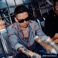 Bùi Thế Anh/Bâus