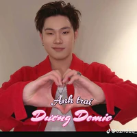 Dương Domic