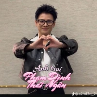 Phạm Đình Thái Ngân