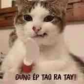 Full nhân vật phụ