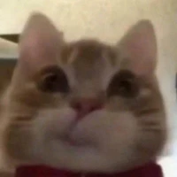 Cô bé xiên chiên