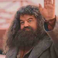 Rubeus Hagrid