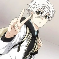 Nagi Sheshiro