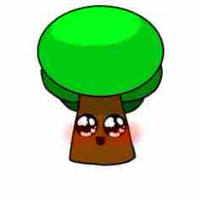mr .tree ( cây bik hát )