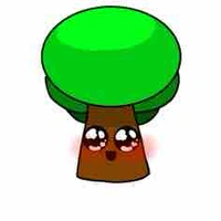 mr .tree ( cây bik hát )