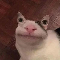 All (trừ những ai cần trừ)