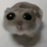Tác giả đây