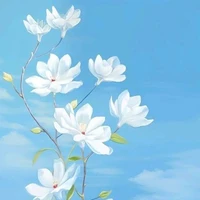 nhân vật phụ