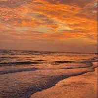 Cả nhóm bot(trừ duy)