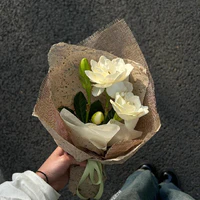 Mắm