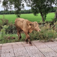 t/g bayy tới đêiii