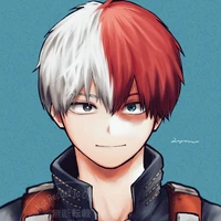 Todoroki Shouto