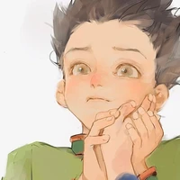 Gon Freecss