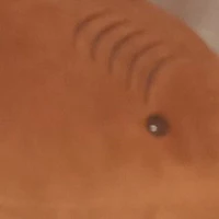 ???