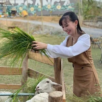 cô tiếng anh