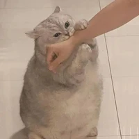 nhỏ t/g