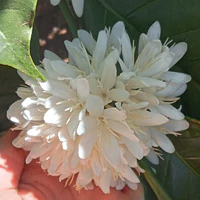 all