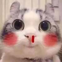 Nấm Lùn 🍄✨ [ t/g ]