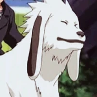 Akamaru