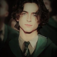 Regulus Black