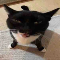 tác giả dễ lười