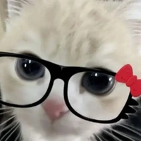 cả lớp