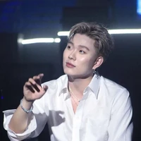 Trần Đăng Dương (Dương Domic)