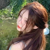 Đinh Cự Giải