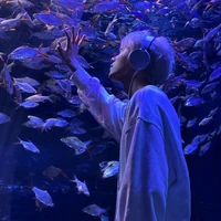 Phạm Vũ Việt Anh