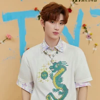 Đinh Trình Hâm/anh/