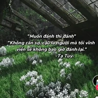 Tác giả siêu cuteee=))))