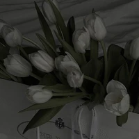 Nhân vật quần chúng