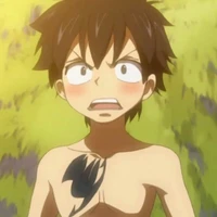 Gray Fullbuster