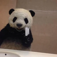 All/bệnh viện/khoa ngoại