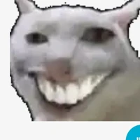Cả lớp