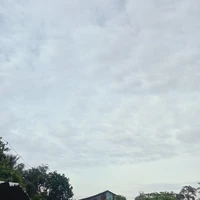 Tu sĩ chính đạo