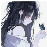 hako (221)