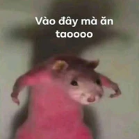 mọi người trong lớp