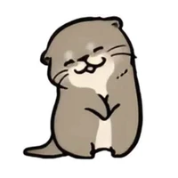 Chồn