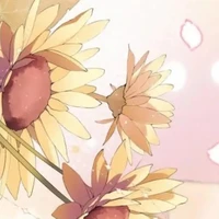 T/g bị OCD(hệ thống chủ)