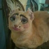 Miên Mê Liên(phản diện)