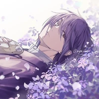 Douman Ashiya (Acchan)