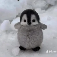 Yanni