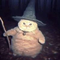 mèo