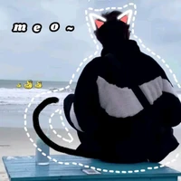T/G