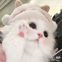 Tổng Tài lòng em:3